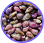 Grapeseed extract Neuro Plus's Ingredients